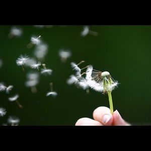 Meet your Posher, Thy